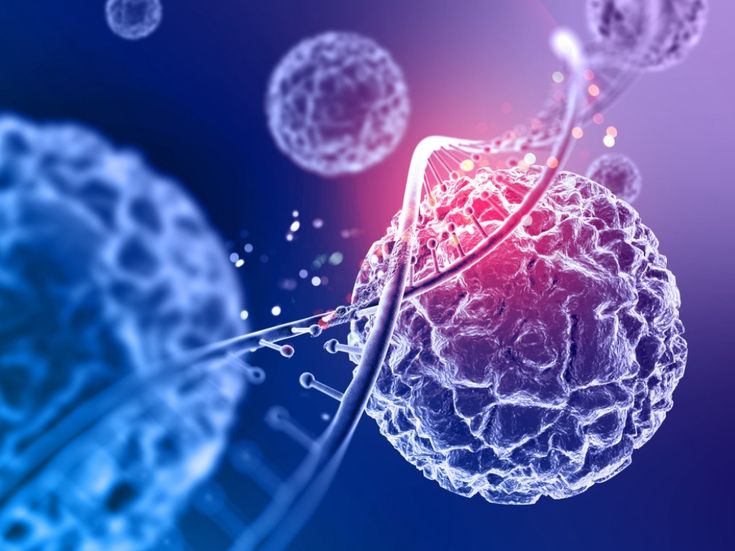 Stem Cell Therapy